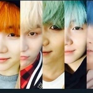 Meet your Posher, Alondra